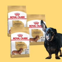 닥스훈트 어덜트 1.5kg 사료 성견 관절 근육 변냄새 감소 도움 로얄캐닌, 2개