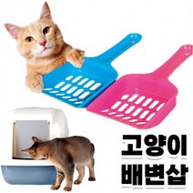 고양이 모래삽 야옹이 화장실 분변 응가 삽