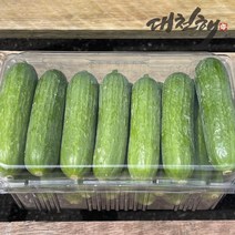 피콜리노 미니오이 1.5kg(20~24개), 1개