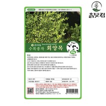 회양목 씨앗 20g 수목 조경 종자 상록활엽관목 + 네임택, 단품