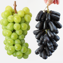 사파이어 포도 샤인머스켓 씨없는 블랙사파이어포도 애플 솜사탕 머루 캠벨, 블랙사파이어 1kg