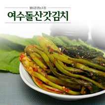 [웰빙촌]여수돌산갓김치2kg, 1박스