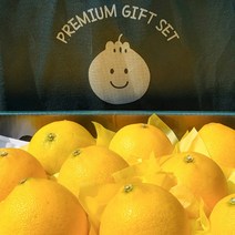 제주 황금향 선물세트 1박스, 3kg 5-15과, 부직포가방 X
