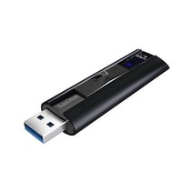 Sandisk Extreme Pro Z880 128GB USB 3.1 메모리, 저장용량