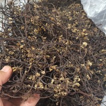 하동 건 고사리 제철 고사리 300g 600g 1kg, 1박스, 건고사리 300g