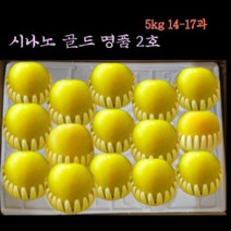 시나노골드 예산명품1호 다시생각나는 그맛 홍로에이어 인기절정 제수용 선물용 특대, 1박스, 명품2호 5kg (14-17과)