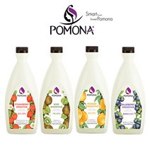 포모나 스무디 2kg 딸기 키위 자몽 블루베리 베리믹스, 블루베리 스무디