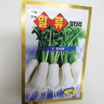 안산 플라워마트 상추 씨앗, 1개, 알타리무