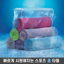 스포츠타올 건식 습식 쿨타올 수영장 헬스 수건, 그린