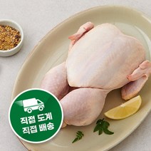 퍼스트픽 국내산 초신선 육계 생닭 초신선 도계장 직송 육계 직접도계 직접배송, 10호