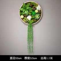 행인플렌트 행잉플랜트 조화 다육이잎꽂이 다육용월 벽 아트 인테리어, 색상 분류: 직경 50cm-A