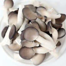 행복푸드상자 국내산 생느타리버섯 2kg 산지 발송, 상세페이지 참조