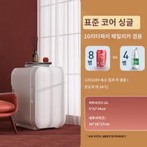 초미니 소형 냉장고 모유 가정용 음료수 서랍형 미니, C