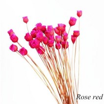 자연 말린 꽃 작은 국화 데이지 해피플라워 부케 Boho 홈 액세서리 데코 웨딩 컨트리 데코레이션, [04] rose red