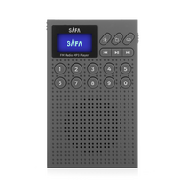 고급효도라디오 SAFA 정품음원 명가수 120곡 포함, SR 200, 그레이