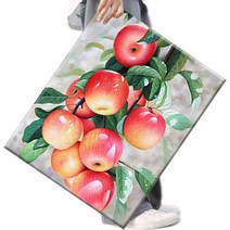 파센 액자 캔버스형 보석십자수 DIY 키트 40 x 50 cm, FS48사과, 40x50 cm