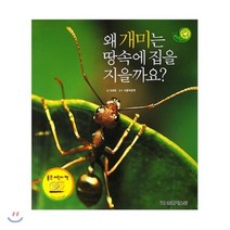 그린키즈 자연관찰 36. 왜 개미는 땅속에 집을 지을까요?, 이혜옥 글, 월드베스트