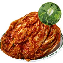 국산배추 유기농 삼백초 포기김치3kg, 삼백초 포기김치, 3kg