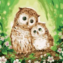 diy 명화그리기 핑크냥이 로즈캣 쿠키캣 도트캣 40x40 고양이 그림 색칠 꽃 집콕 방꾸미기 취미생활, S03 부엉이 가족