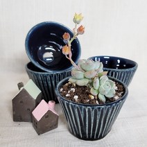 초록담다 국내도예작가 소량제작 국산유약수제화분 컵케이크팟