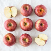 사과의 고장 문경 부사사과 대 5kg/11~13과내외, 단품