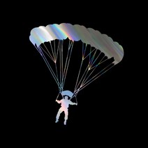 자동차포인트 0266 패러글라이딩튜닝스티커, XL, 블랙