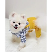 (무료배송)강아지 면 카라 체크 셔츠 멜빵 바지 올인원, 옐로우