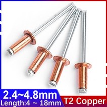 리벳 M2.4 M3.2 M4 M4.8 구리 블라인드 T2 퓨어 헤드 풀 네일 개방형 라운드 캡 GB12618.520, [02] M3.2, [09] 12mm (10Pcs)