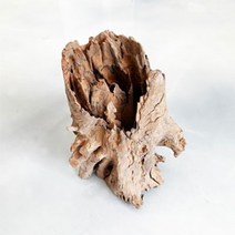 [바보사랑] 내추럴 그루터기 유목 (대) 25~35cm, 상세 설명 참조