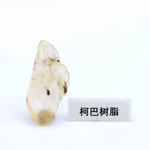 100종 천연 고생물학 삼엽충 암모나이트 어류 식물 화석 원석 수집키트 조개껍질 광물, b. 투명 곤충