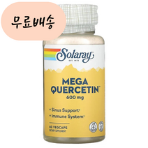 솔라레이 메가 퀘르세틴 600m.g 60개입 1개
