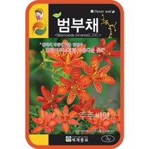 주주씨앗 범부채 꽃 씨앗 3g / 꽃씨몰 종자 blackberry lily seed 씨앗 파는곳