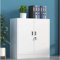 철제 캐비닛 2단 소형 사물함 귀중품 서류 보관함, 양문형캐비닛