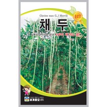 채두 콩씨앗 30립 세계종묘 23년