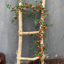 웨딩 파티 아치 조화 가랜드 덩쿨 인공 식물 나뭇잎 포도