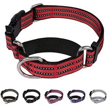 강아지훈련용품 마틴게일 개 목걸이 - 소형 중형 대형견용 강아지에 적합한 조절 가능한 나일론 훈련용 개 목걸이 퀵 릴리스 버클이 있는 반사 개 목걸이., 17-23.5 목을 위한 l-1 wied, 빨간색