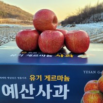 정이가 예산 게르마늄 꿀 부사 3kg 5kg 10kg 시나노골드 홍로 가정용 주스용 사과, 대과 5kg ( 16~17과 내외)