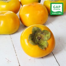 [생산자직송] 창원 부유 단감(소) 3kg, 단품