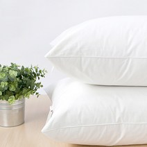 나다니엘 오리털 특급호텔 덕다운50% 베개솜 50x70 베개커버증정, 1개