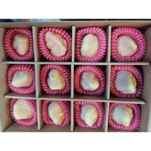 프리미엄 신데렐라 딸기(하얀딸기) 선물용 (12구), 2팩