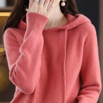 데일로엔 여성용 캐주얼 데일리 베이직 후드 니트티