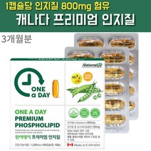캐나다 대두 레시틴 프리미엄 인지질 영양제 90캡슐 혈중 콜레스테롤 개선에 도움