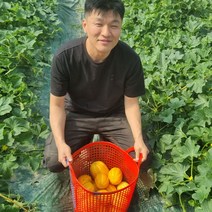 참좋은 산지직송 성주 꿀 참외 가정용 프리미엄 선물용, 가정용(중과), 5kg