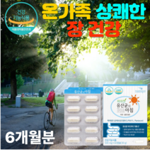 온가족 장건강 하루1캡슐 6개월분 파마젠 신선한 김치 유산균 60캡슐 프로 바이오틱스 200억 마리 투입 6억 6천마리 보장 장용성 코팅캡슐 비피도 박테리움 앤테로 코커스 패시움