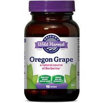 오레곤 야생 수확 공인 유기 오레곤 포도 베리 베린 보충 교재 1140 mg 90 카운트