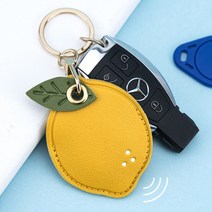 도어락 키태그 카드키 케이스 현관키 터치키 커버 키홀더, 도어락 카드키홀더:레몬, 1개