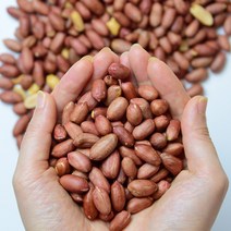 국산 땅콩 고소한 볶음 알땅콩 500g, 단품