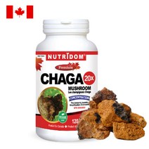 (이벤트 특가) 캐나다 뉴트리돔 20배농축 차가 분말 500mg 120캡슐 (4개월분), 1팩, 120