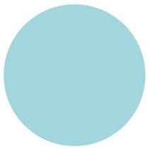 포코스 원모양펀치(원형펀치모음) 모양펀치, 대형 원모양(CP-41W)(101mm)