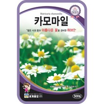 카모마일 500립/ 허브씨앗 허브씨 허브키우기 카모마일씨앗 카모마일씨, 6. 카모마일 500립